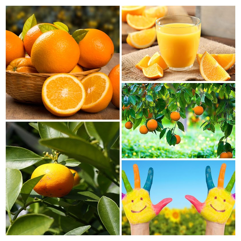 Beneficios de la Naranja